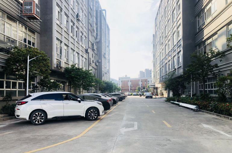 龙岗新生科技园楼上1200平带装修办公仓库厂房低价出租可分租