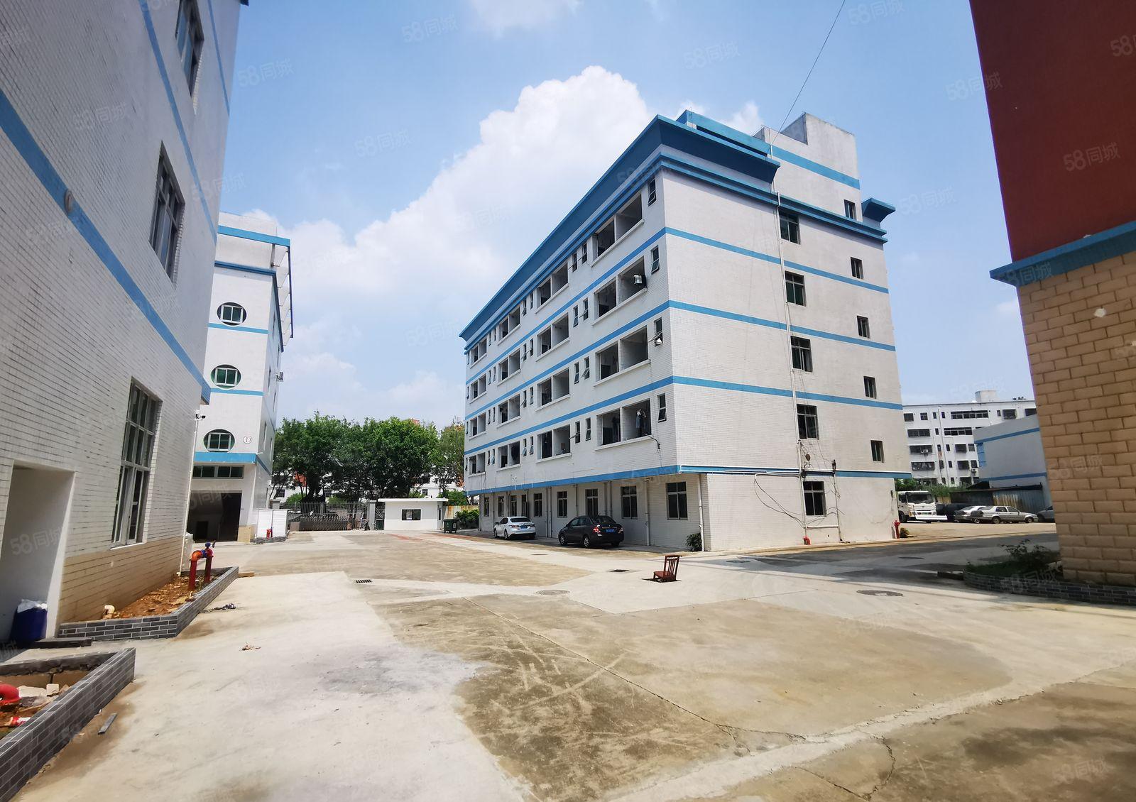 龙岗中心城大型工业园单层2000平带红本厂房仓库出租，可分租