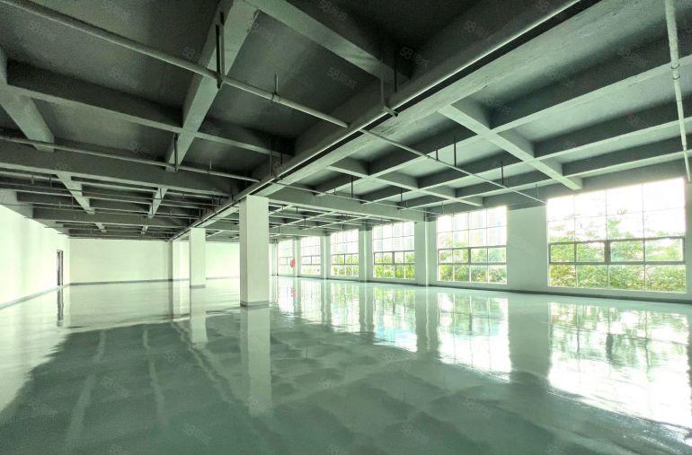 横岗精装修1300平全落地窗，消防喷淋空地大，大货车随意掉头