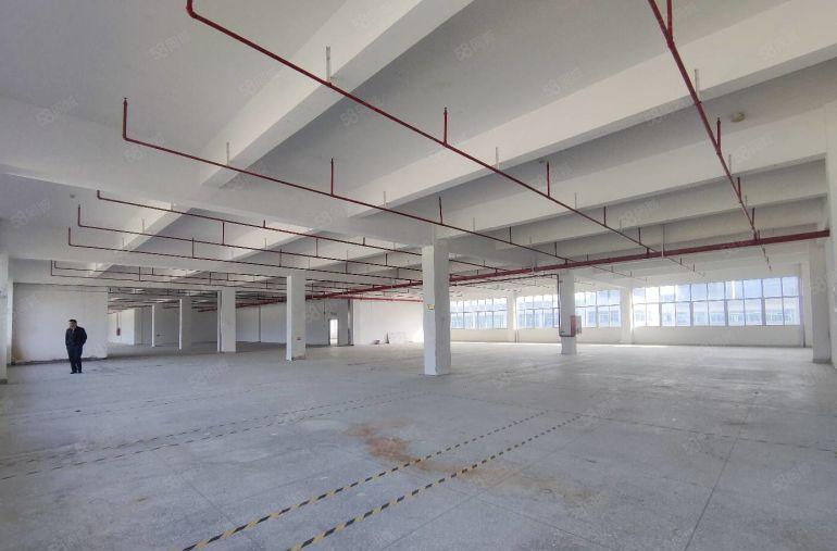 （出租）横岗六约2000平原房东红本厂房 300起分可办环评