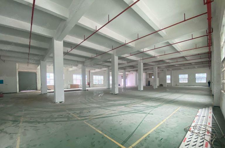 超长免租低价村委直租龙岗新空出5000平精装办公仓库厂房出租