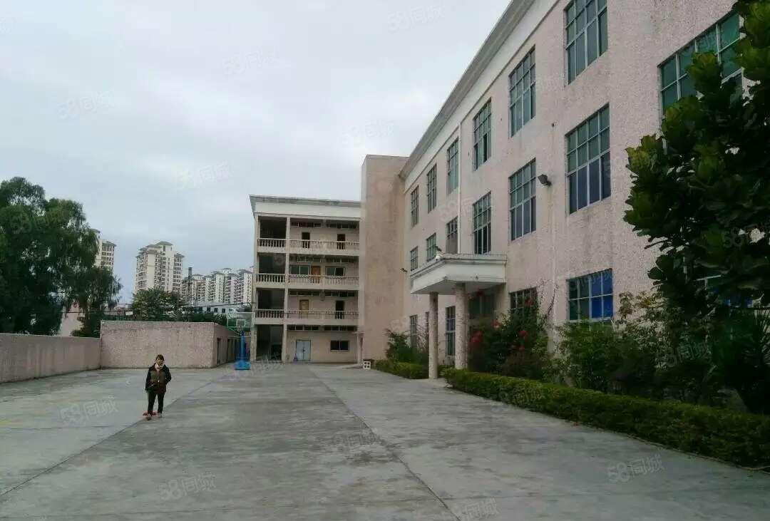 龙岗原房东独门独院厂房出租4200平5500平9500平8套