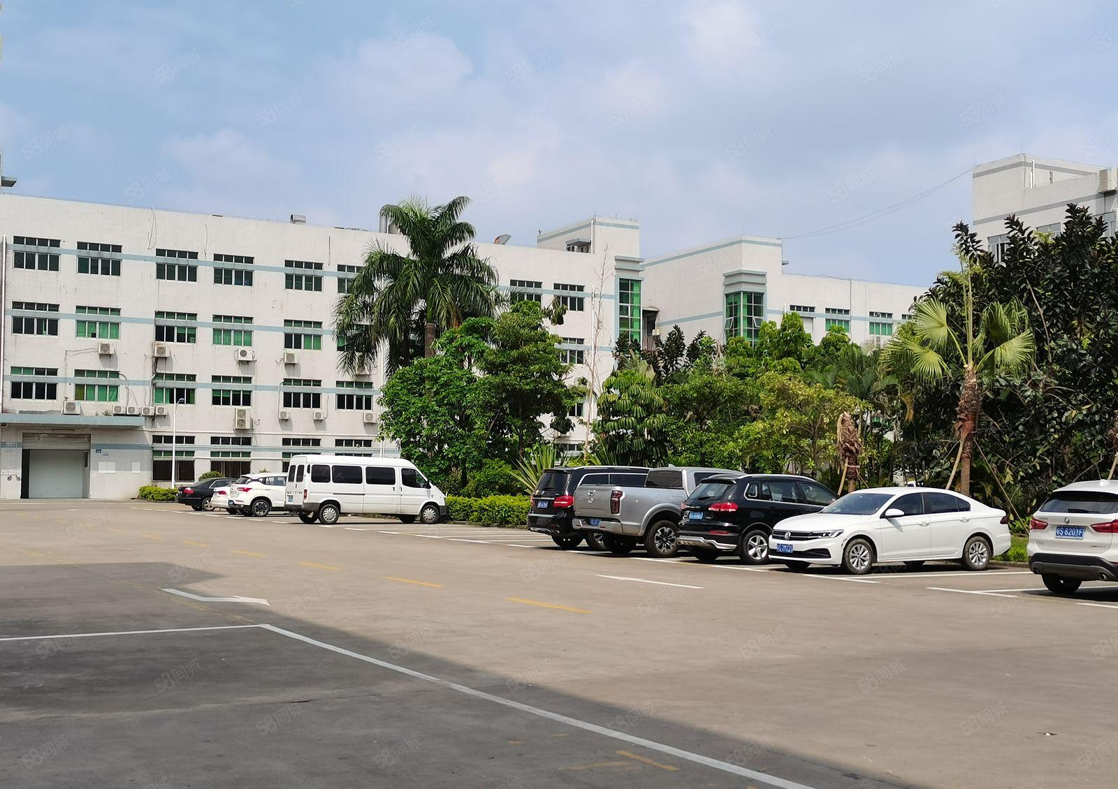 龙岗嶂背原房东独院2300平带前台和精装修办公出租厂房可分租