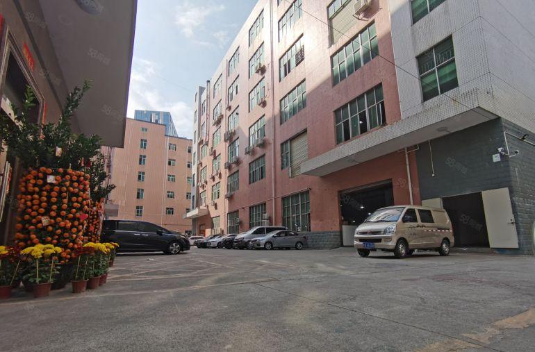 坂田原房东厂房一楼仓库，楼上电商厂房出租可分租小面积价格低