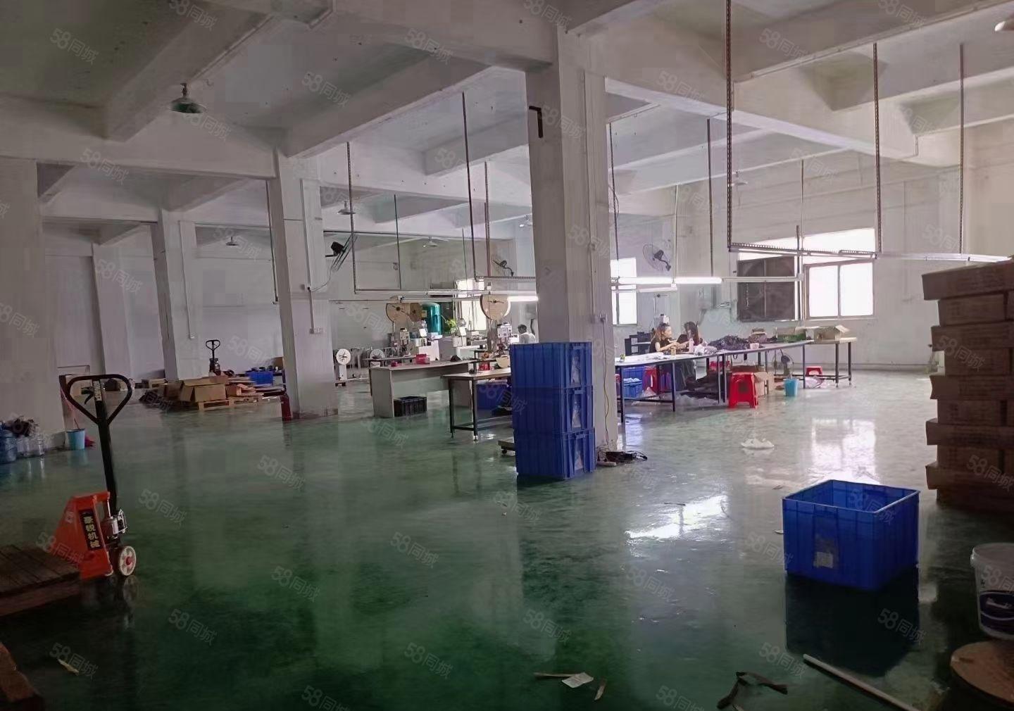 平湖新木二楼1500平方带办公室装修厂房出租