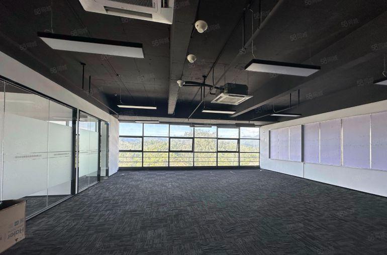 100平起租平湖华南城地铁站旁电商园各种户型电商办公仓库出租