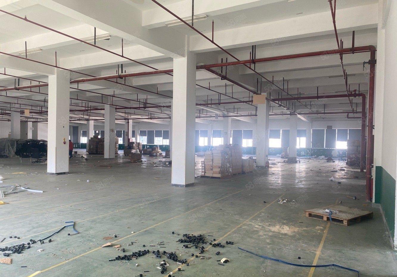 龙岗宝龙原房东楼上5002000平仓库厂房出租带卸货平台