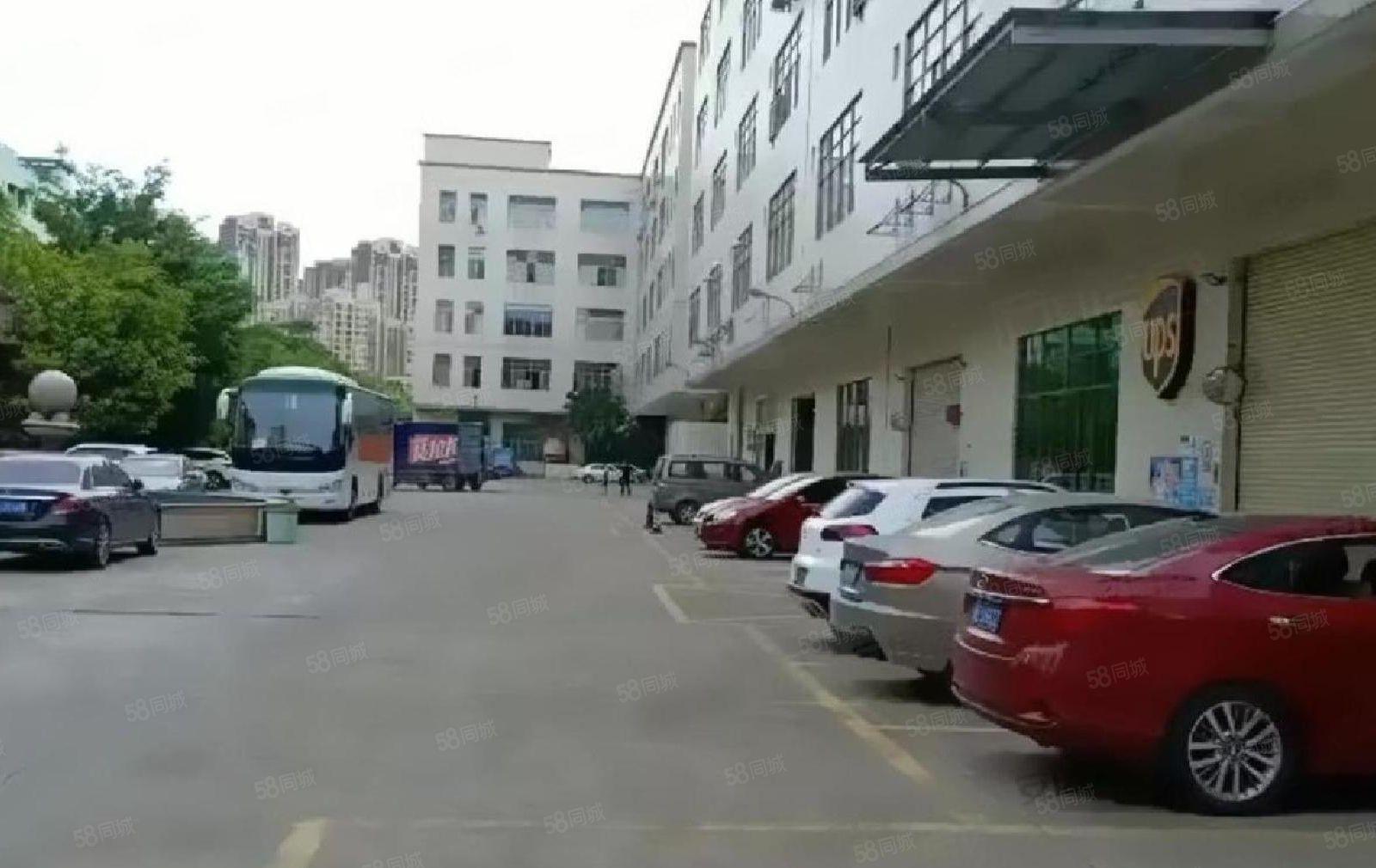 龙岗南联主干道旁800平电商仓库  200平起租公摊小价格低