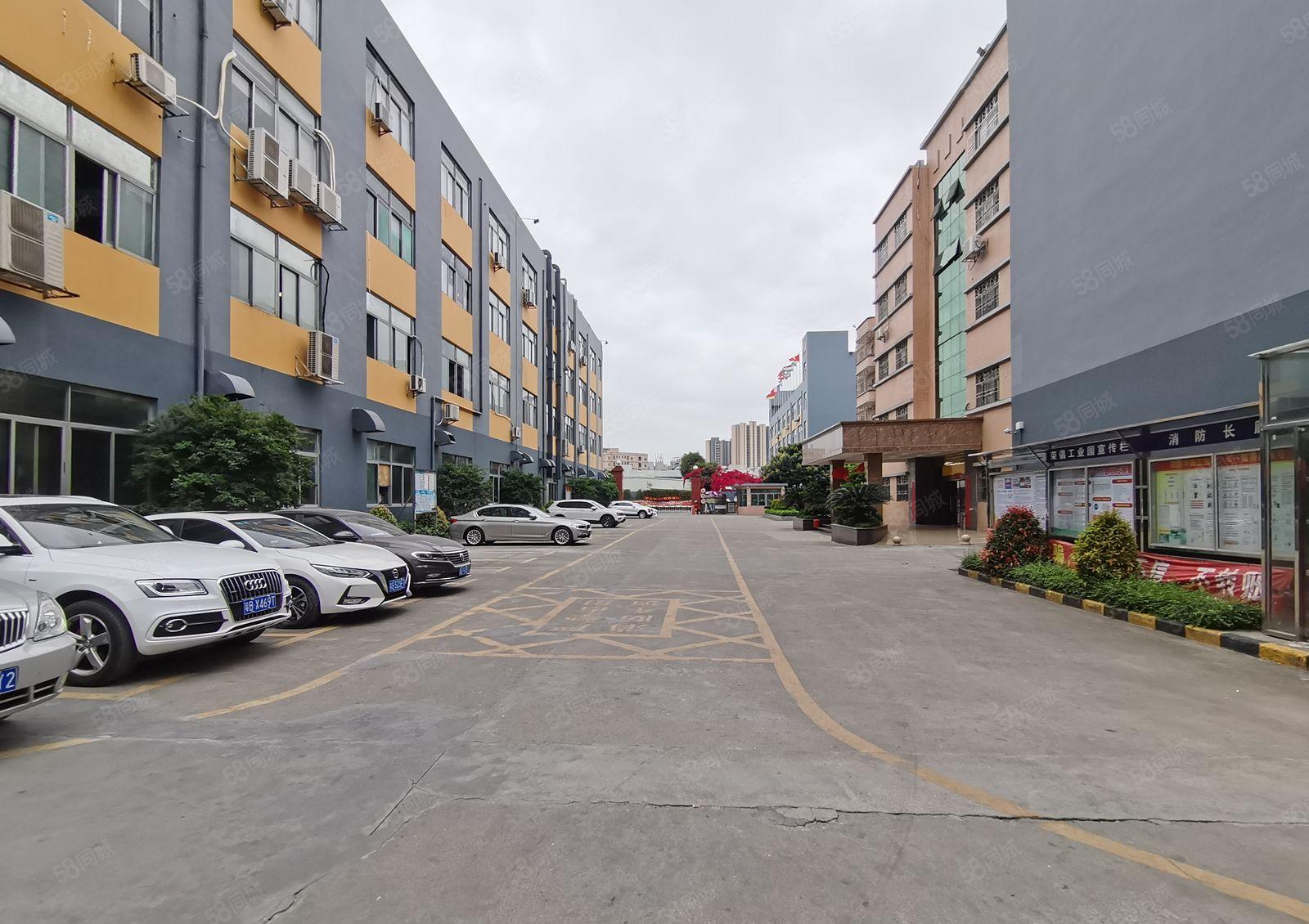 平湖辅城坳2百5百1千3千平起分租独栋1万平红本厂房仓库出租