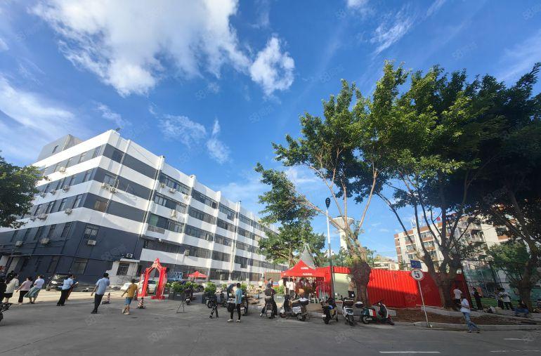 电商办公龙岗龙东地铁站大型电商园精装修厂房仓库低价出租