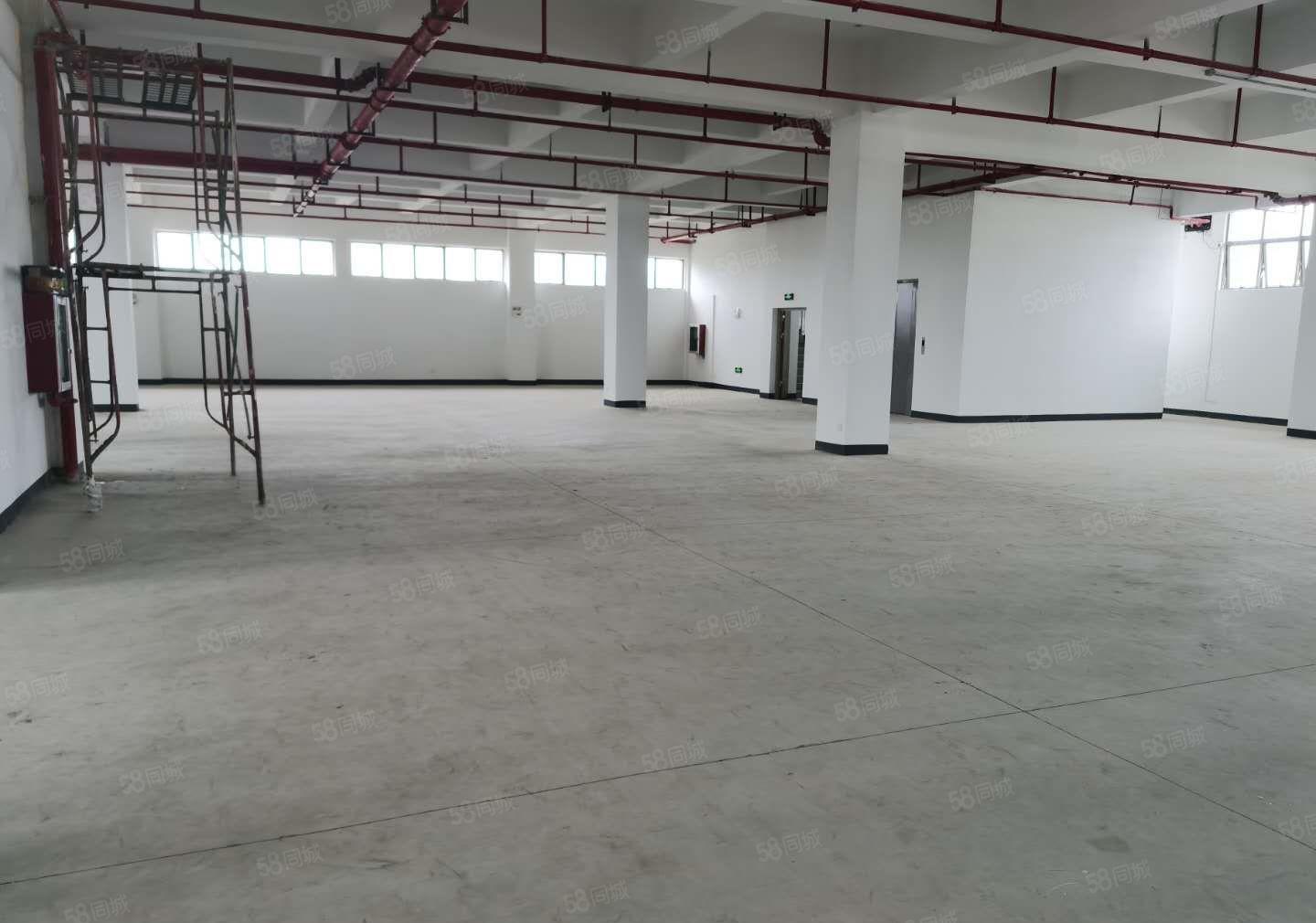 23元起租平湖山厦厂房仓库出租高速出口500米空地大交通便利