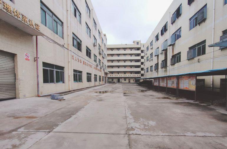 龙岗区南联原房东厂房出租，整层2000平方，实际面积低价出租