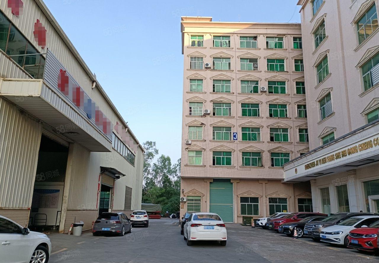 龙岗新出原房东钢构厂房出租2600平可分租，交通便利可进大车