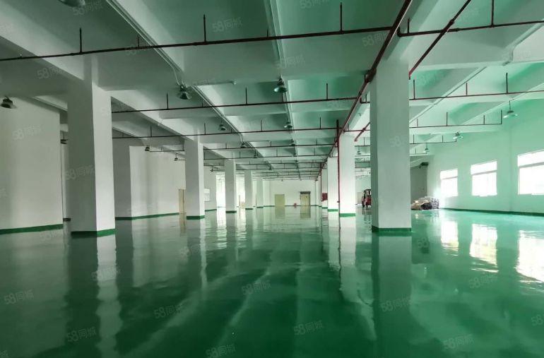 坂田吉华路新出1000平厂房仓库出租可分租可办环评