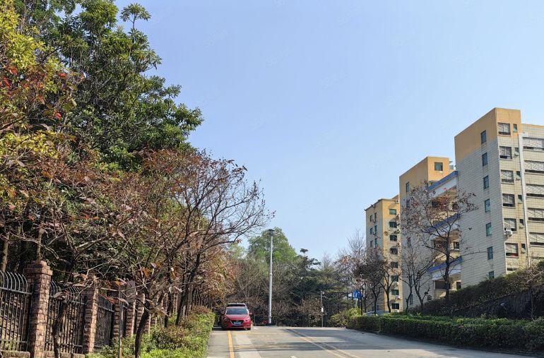 坂田原房东红本厂房出租整层精装修1360平方实际面积房东直租