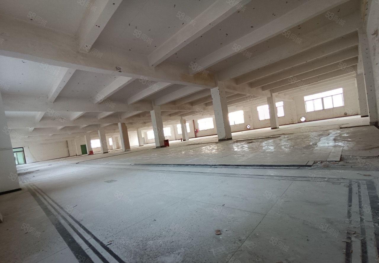 （出租）龙岗区宝龙原房东红本精装修厂房大小分租