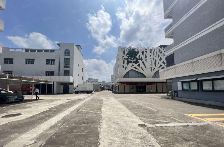 龙岗独栋展厅电商总部会所3000平方厂房出租带装修大小可分租