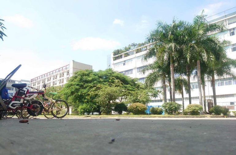 原房东实际面积出租！同乐工业园全新地坪漆600平方厂房出租