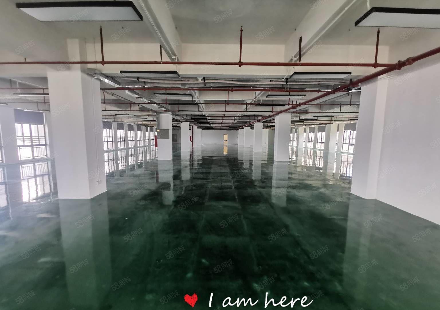 200平分租平湖高新科技园单层2000平研发办公厂房仓库出租