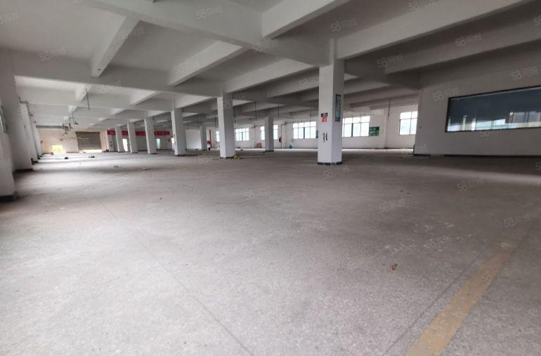 深圳龙岗同乐厂房出租10500平独院工业仓库独栋出租超大空地