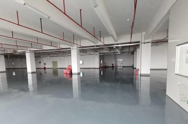 龙岗宝龙原房东工业园新出单层面积3200平厂房出租可分租一楼