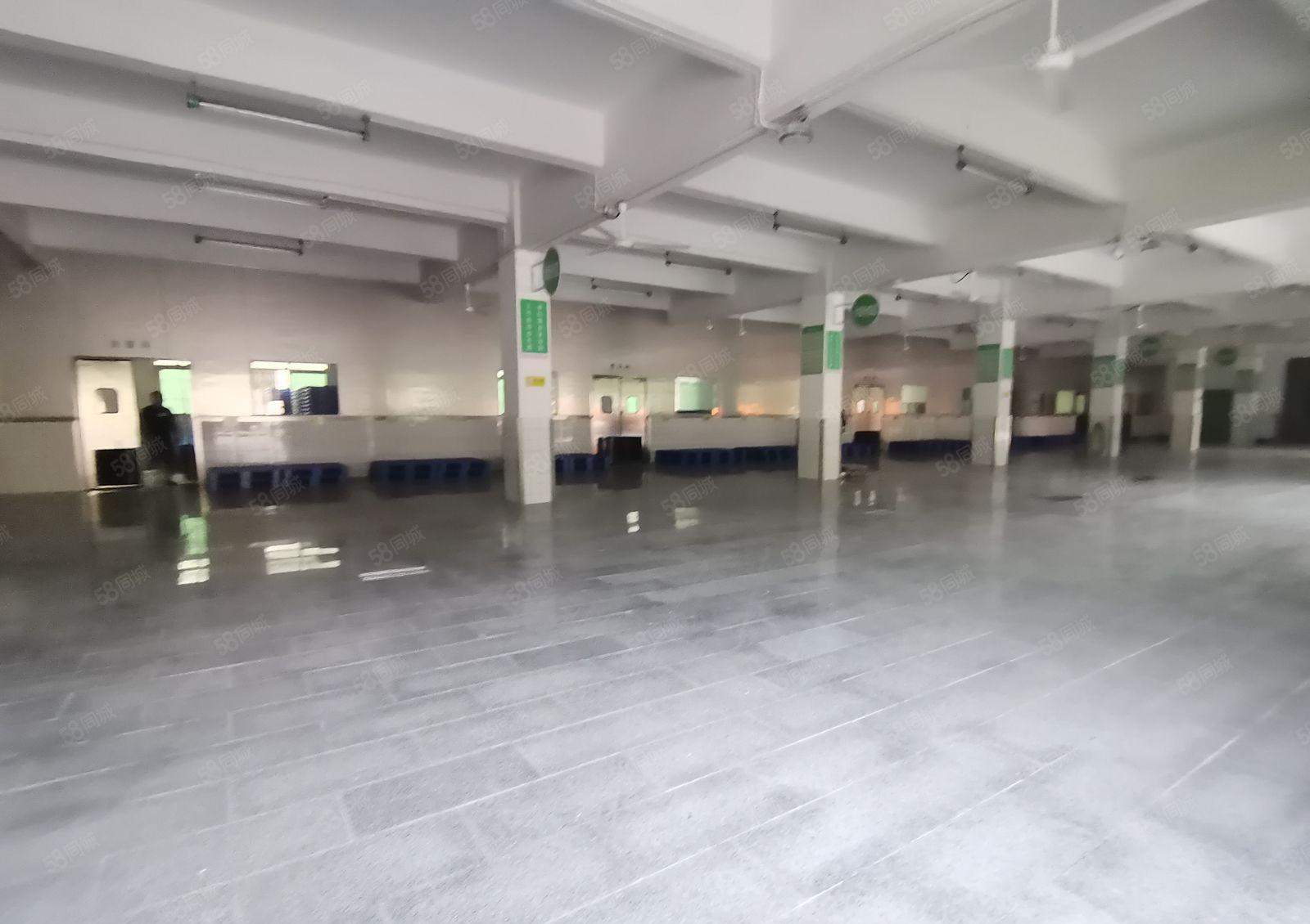 平湖白泥坑一楼1500平标准冷库冻库仓库厂房出租可分租空地大