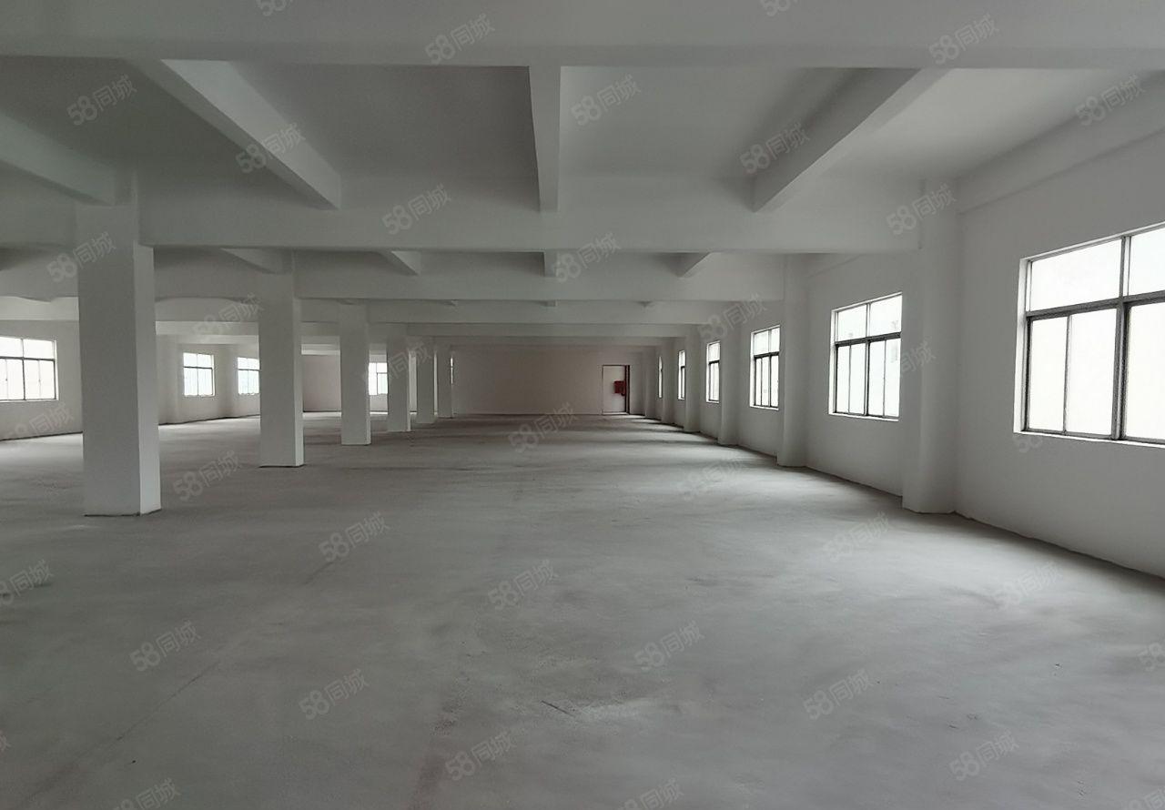 龙岗新出独门独院厂房出租6000平，大小面积分租原房东空地大