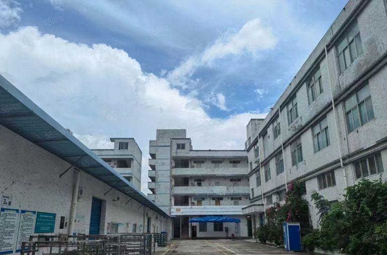 龙岗中心城原房东低价精选仓库一楼精装修500平方标准厂房出租