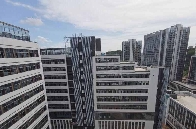 龙岗地铁口全新高标厂房 可研发生产 1200平起开发商直租