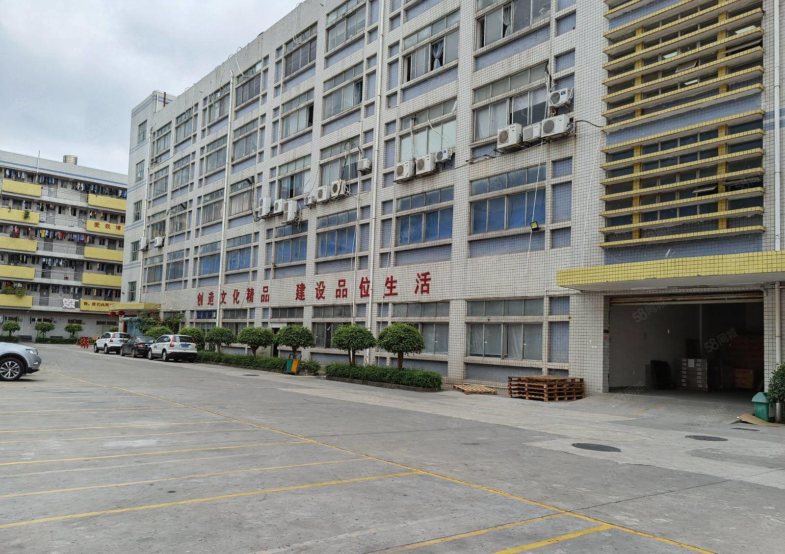 龙岗新出一二楼1000平至5000平厂房仓库出租独院大小分租