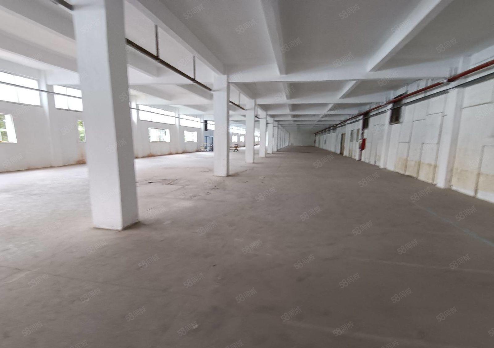 200平起分横岗大康工业园一楼1000平厂房仓库出租