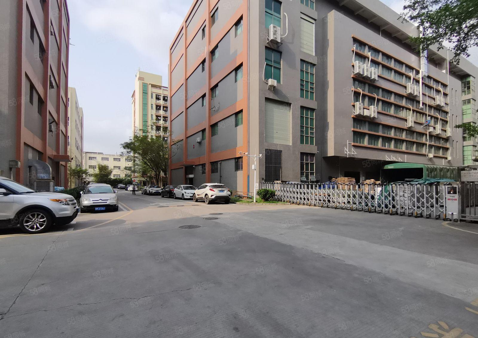 12米层高！横岗六约新出红本独院厂房仓库3万平可分租