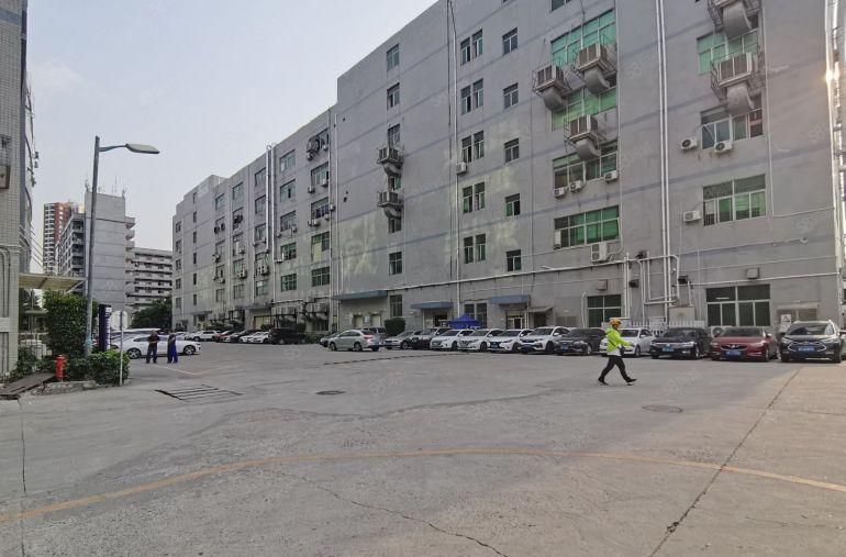 20元起租平湖辅城坳原房东厂房出租6000平方200平起分租