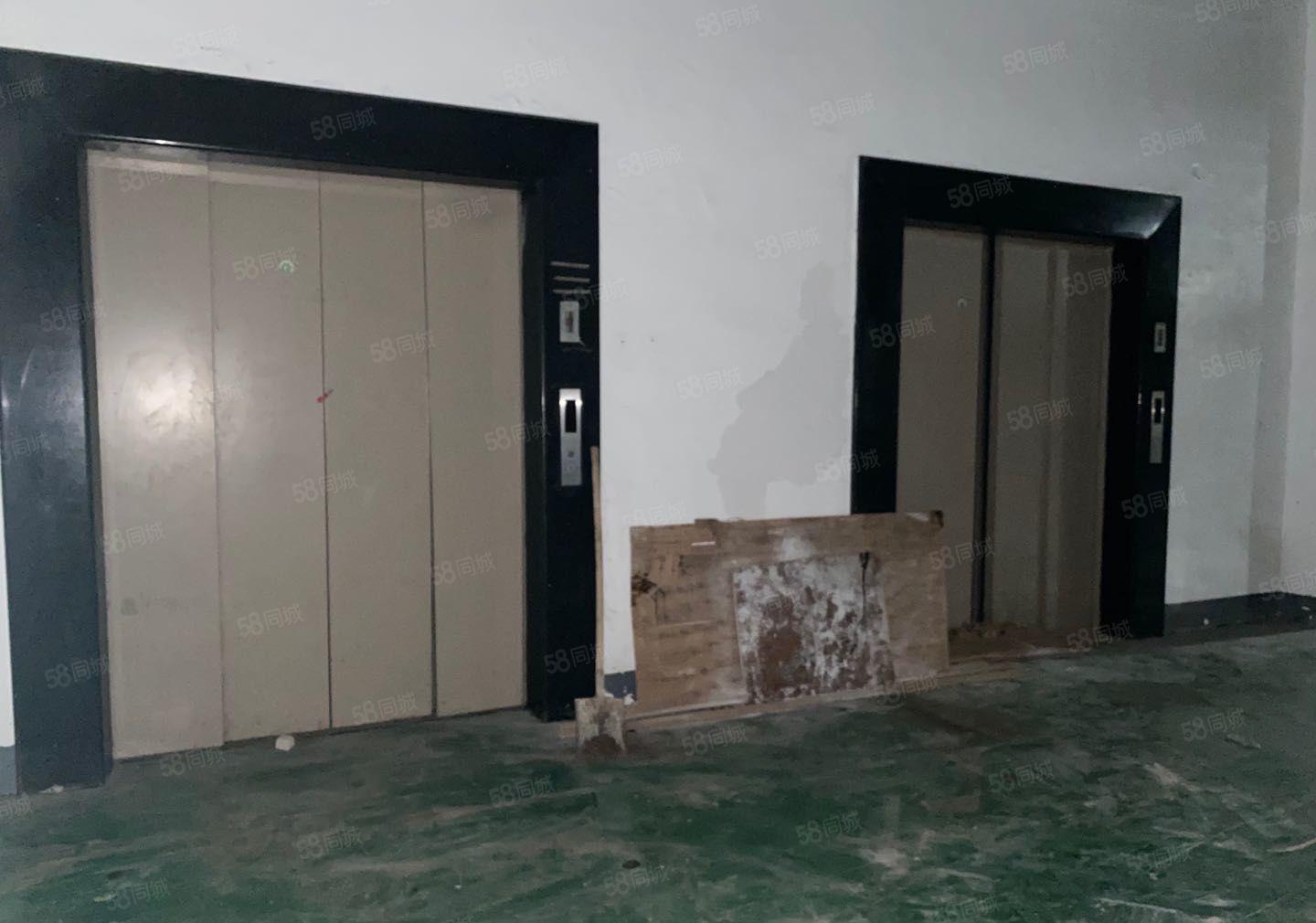 龙岗一楼带超大卸货平台四台3吨货梯20000平米园区可分租