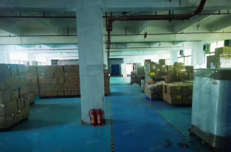 龙岗五联5520平米原房东独栋工业厂房出租分租