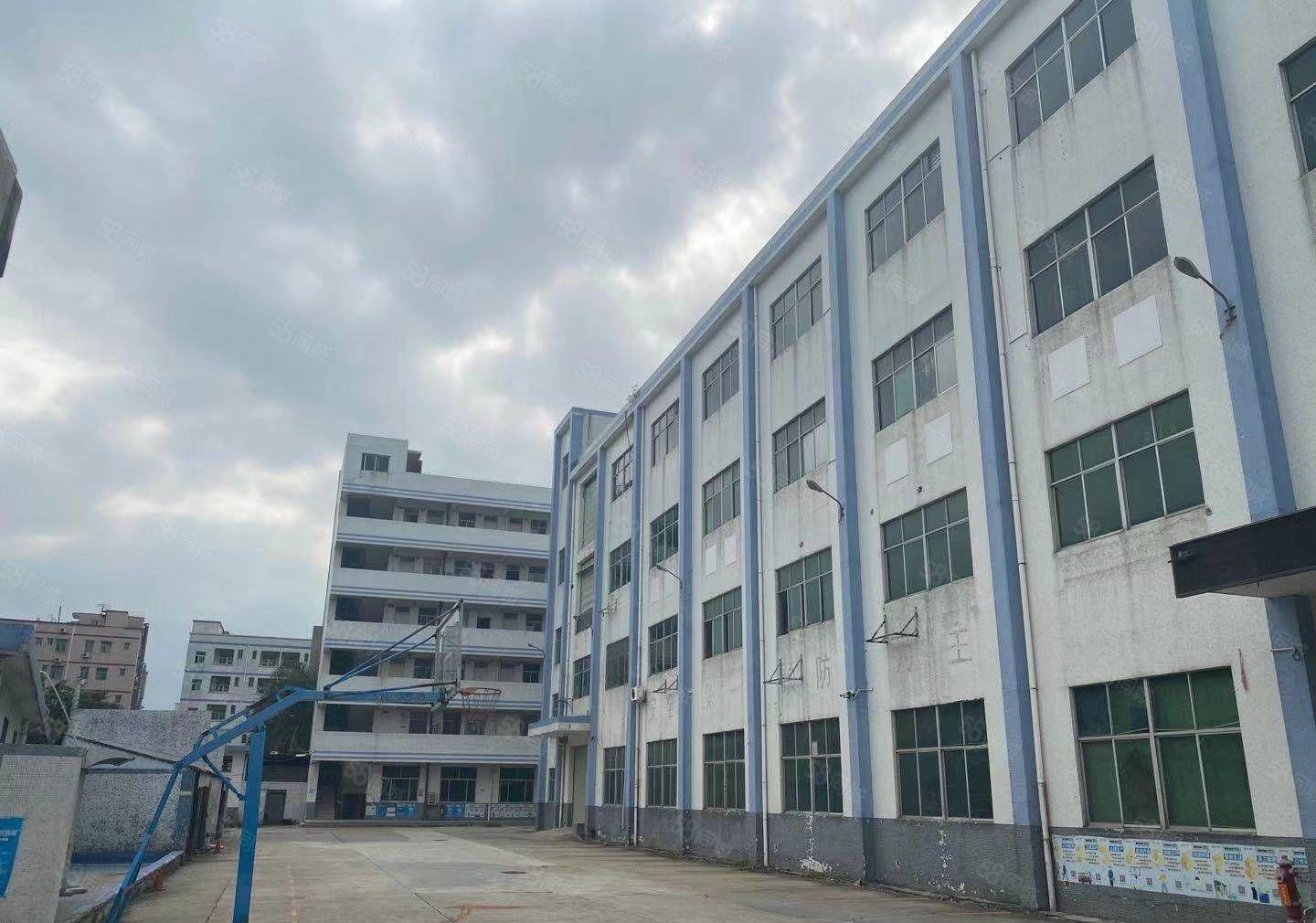 龙岗嶂背新空出2楼1500平方带精装修前台和办公室厂房出租