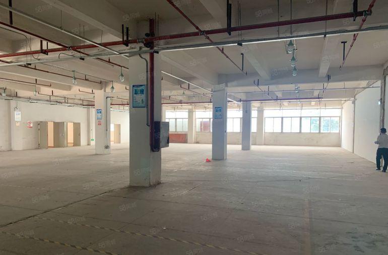 龙岗坂田红本工业园原房东厂房仓库1200平方低价出租场地大