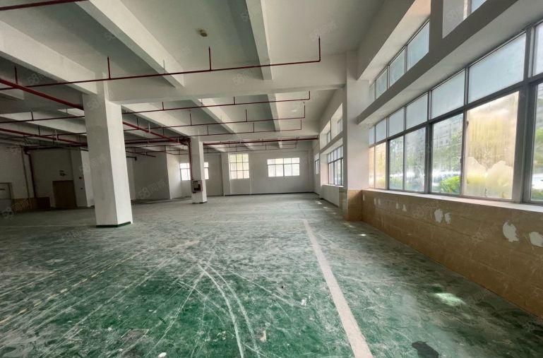 横岗六约工业园区原房东楼上2000平带现成精装修厂房出租！