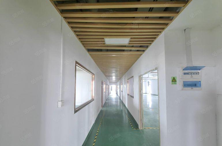 200平起租 坂田上雪科技园无公摊1000平红本厂房仓库出租