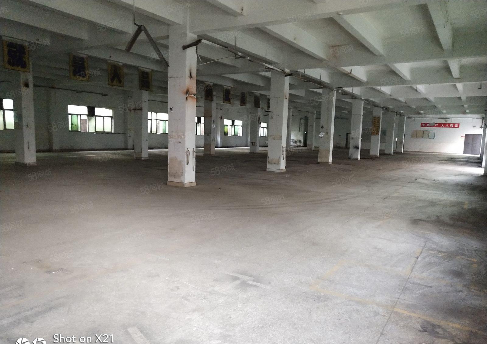 标准厂房一二楼各800平米，水电齐全，可分400