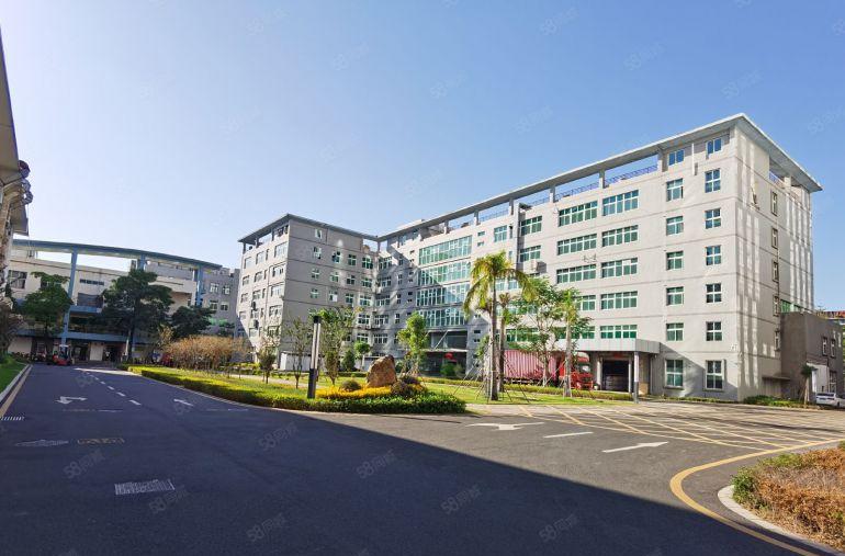 坂田科技园新出楼上500平方精装修办公室厂房出租