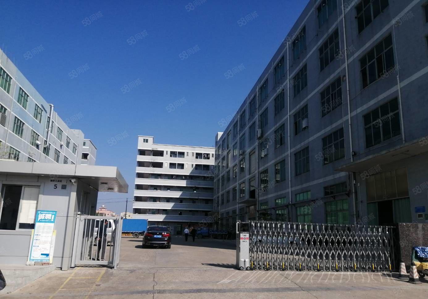 200平起租龙东独门独院原房东一二楼各1500平厂房带精装修