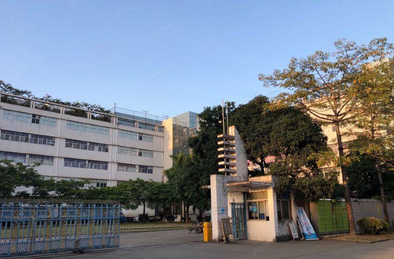 六约新出红本独院分租2楼整层2000平带精装修办公室厂房出租