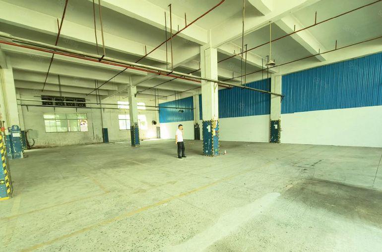 原房东红本独门独院工业区厂房出租一楼仓库出租厂房大小分租空地