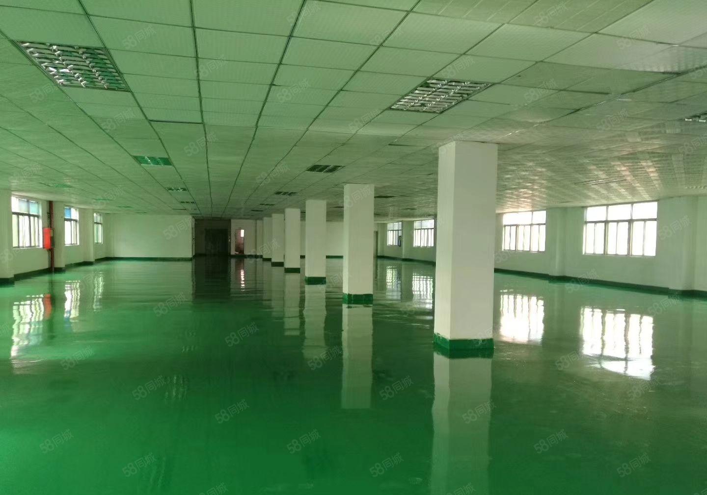 平湖华南城地铁站口新出二楼1000平方带装修厂房招租