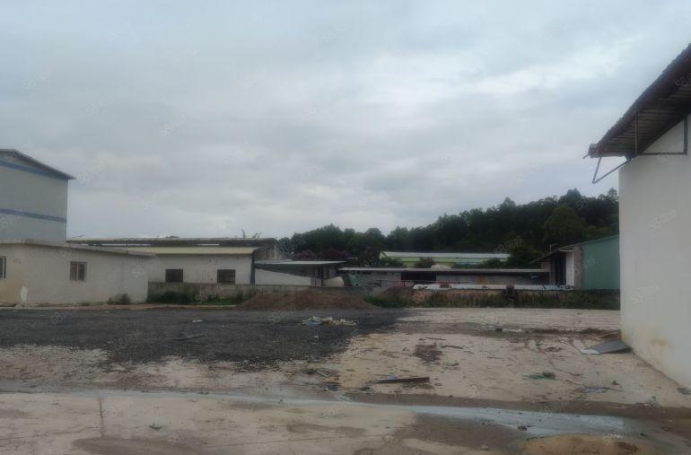 龙岗坪地低价3000平独门独院空地厂房汽车仓库出租转让可分租