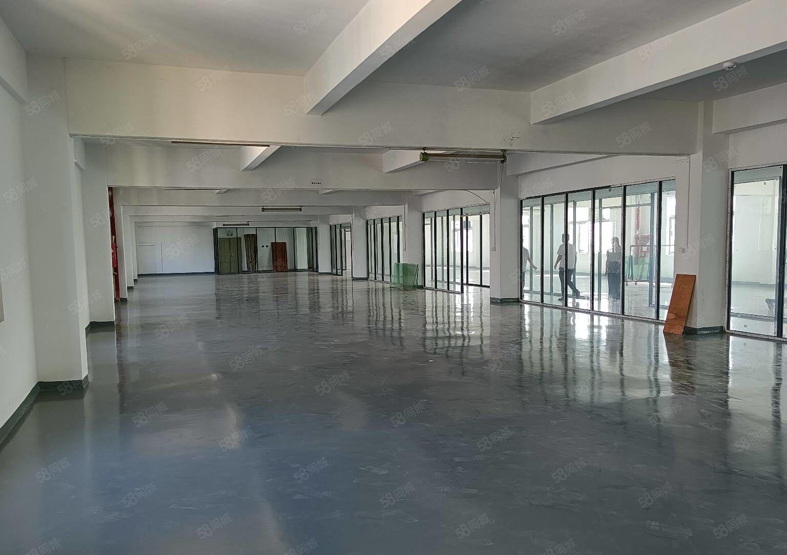 坂田地铁口原房东楼上1000平精装修厂房仓库出租