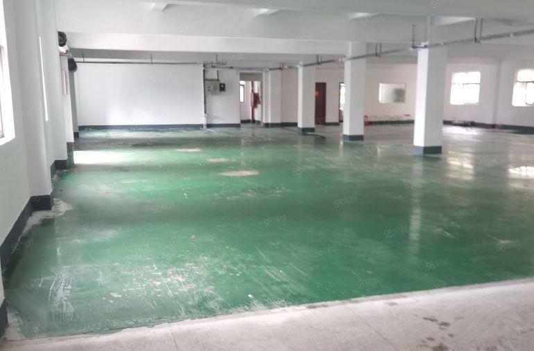 横岗安良全新大园区厂房出租面积200至300千平