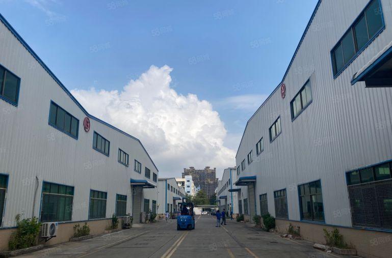 平湖钢结构仓出租高速口单一层15000平滴水9米大小面积可分