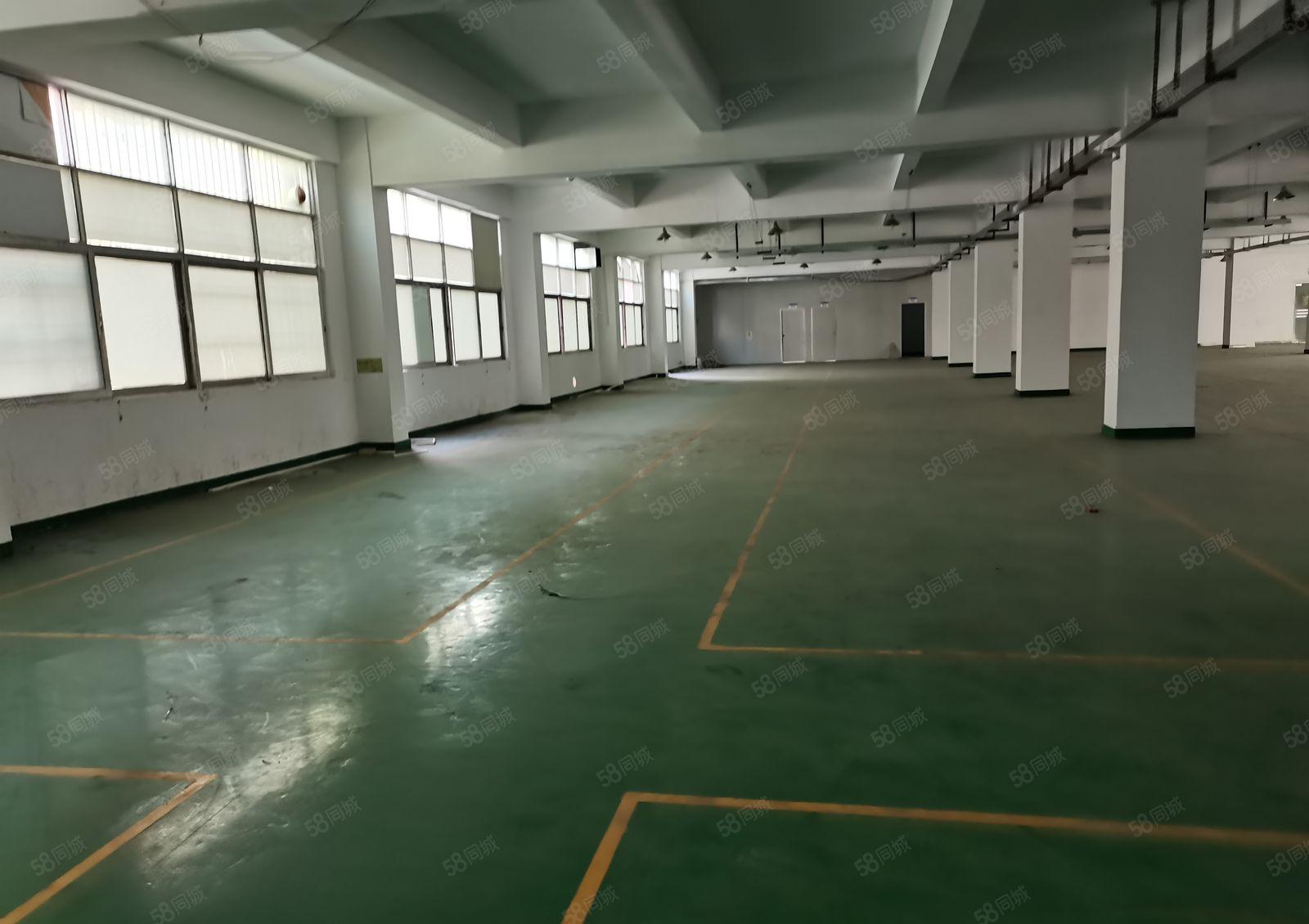 17元起龙岗五联工业园1000平厂房仓库出租200平起分租